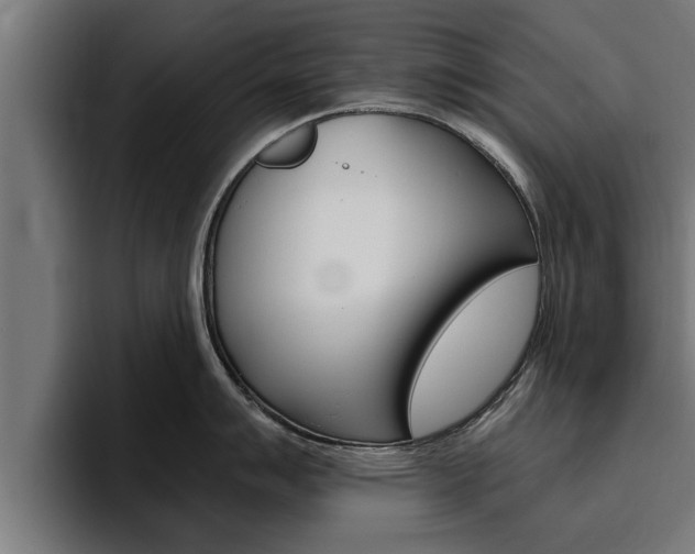 X0000094771007200711160826