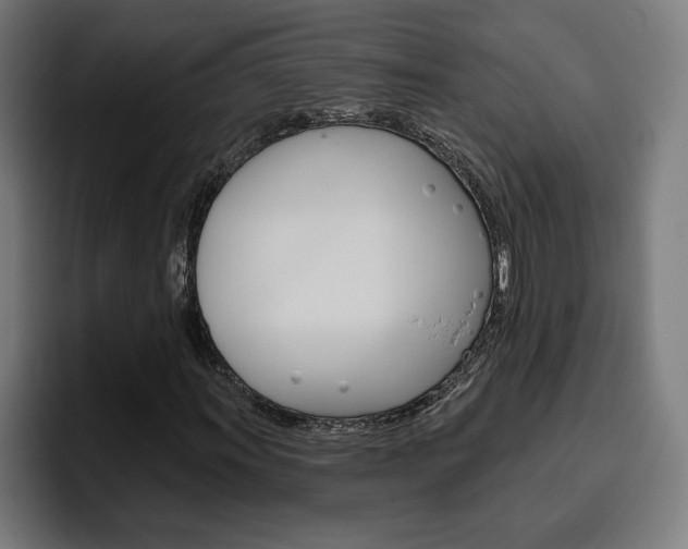 X0000094771011200711160826