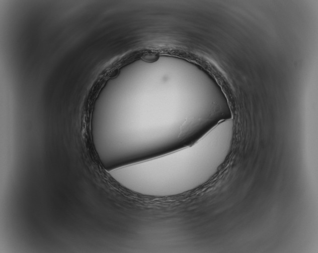 X0000094771016200711160826