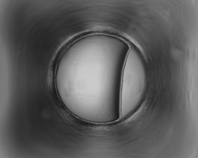 X0000094771021200711160826