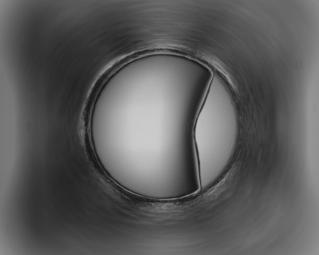 X0000094771024200711160826