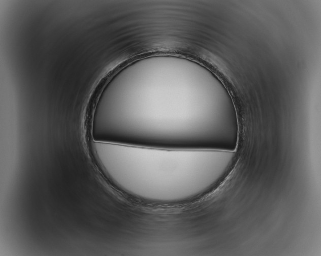 X0000094771026200711160826