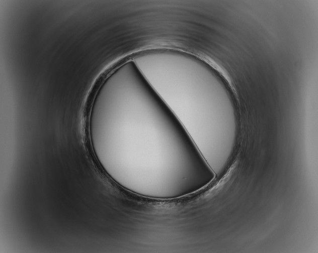 X0000094771029200711160826