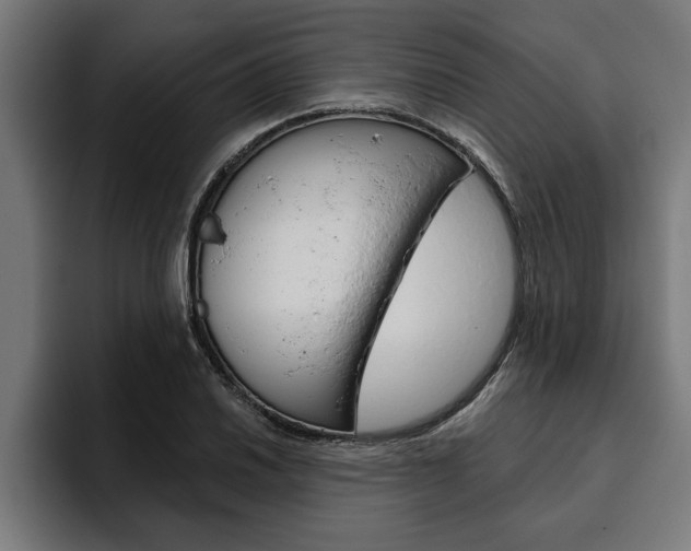 X0000094771030200711160826