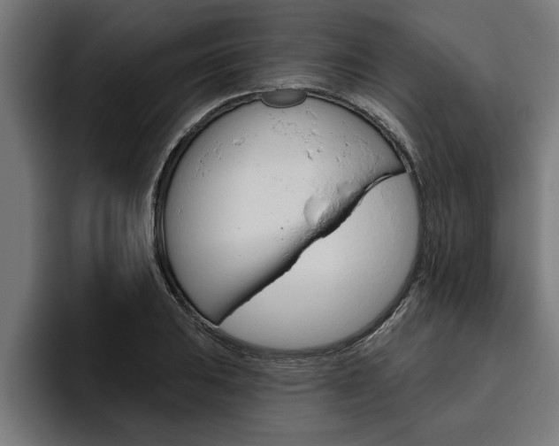 X0000094771031200711160826