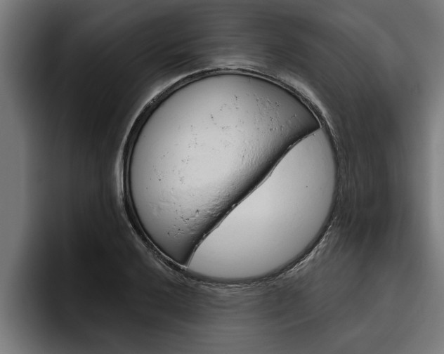 X0000094771032200711160826