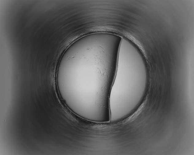 X0000094771033200711160826
