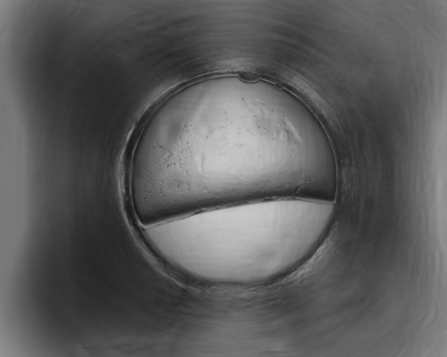 X0000094771034200711160826