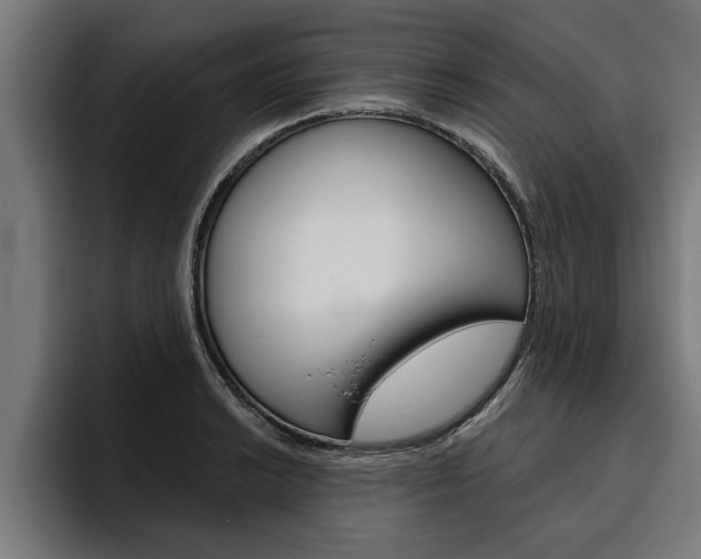 X0000094771038200711160826
