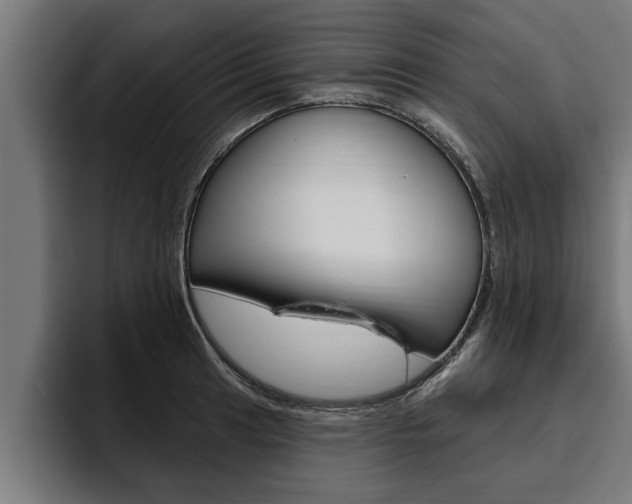 X0000094771041200711160826