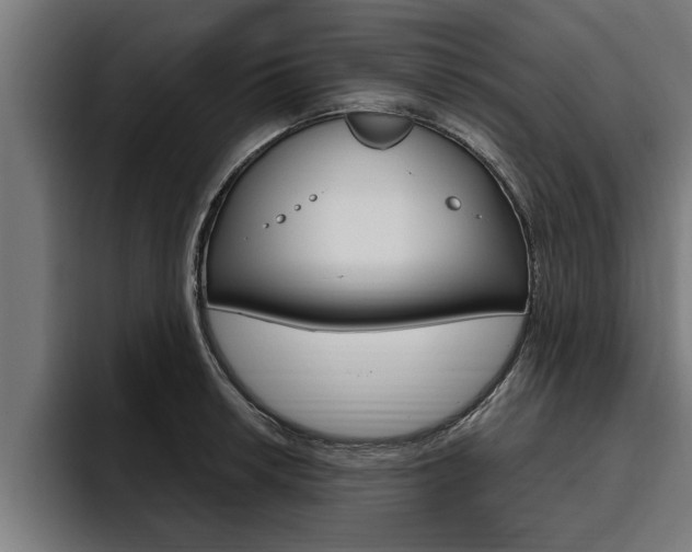 X0000094771042200711160826