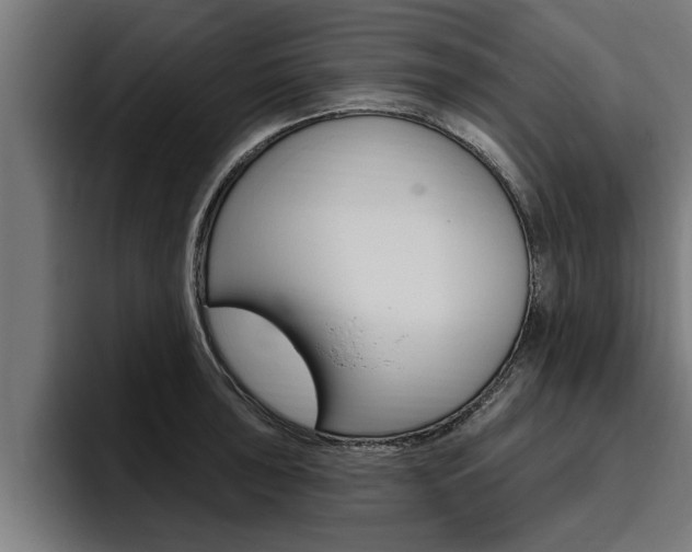 X0000094771043200711160826