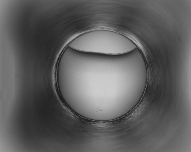 X0000094771048200711160826