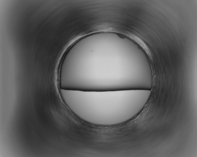 X0000094771051200711160826