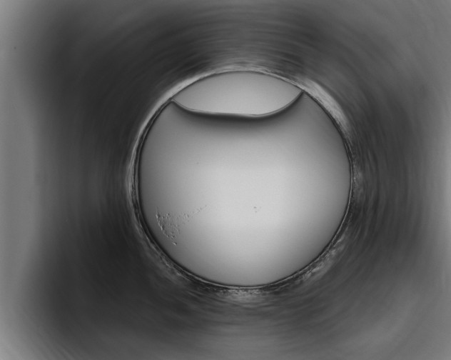 X0000094771052200711160826
