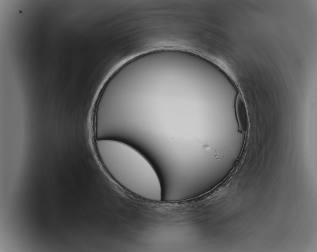 X0000094771056200711160826
