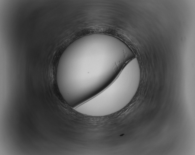X0000094771058200711160826