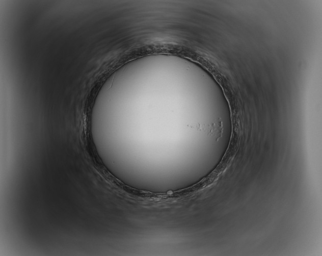 X0000094771061200711160826