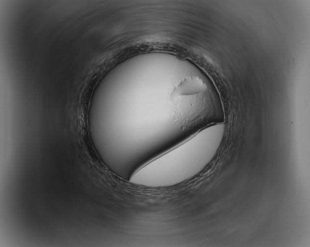 X0000094771062200711160826