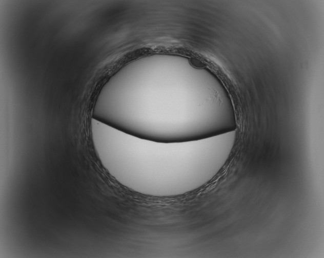 X0000094771063200711160826