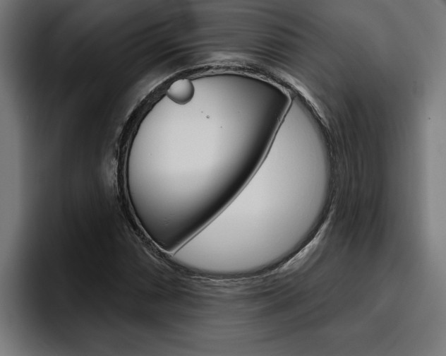 X0000094771066200711160826