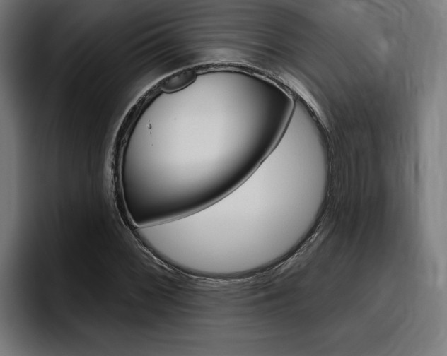 X0000094771068200711160825