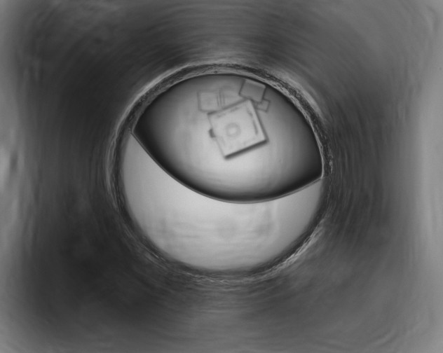 X0000094771069200711160825