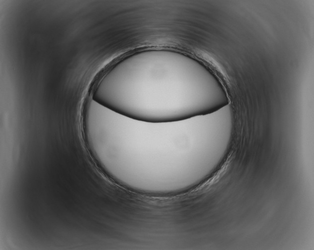 X0000094771071200711160825