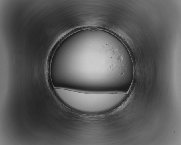 X0000094771077200711160825
