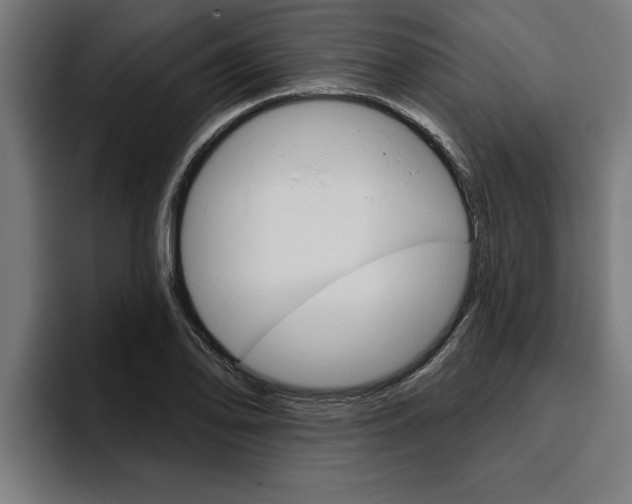 X0000094771078200711160825