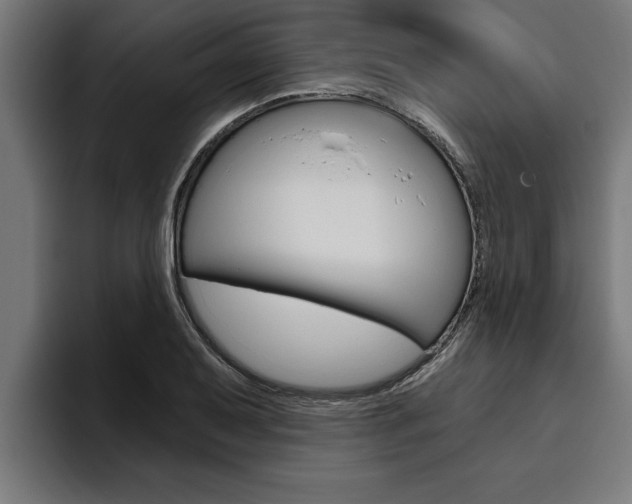 X0000094771079200711160825