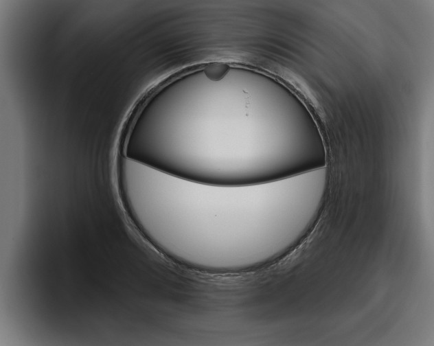 X0000094771080200711160825