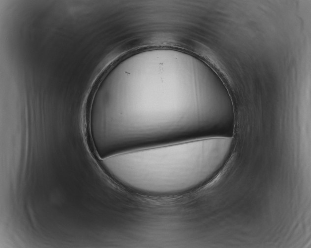 X0000094771082200711160825
