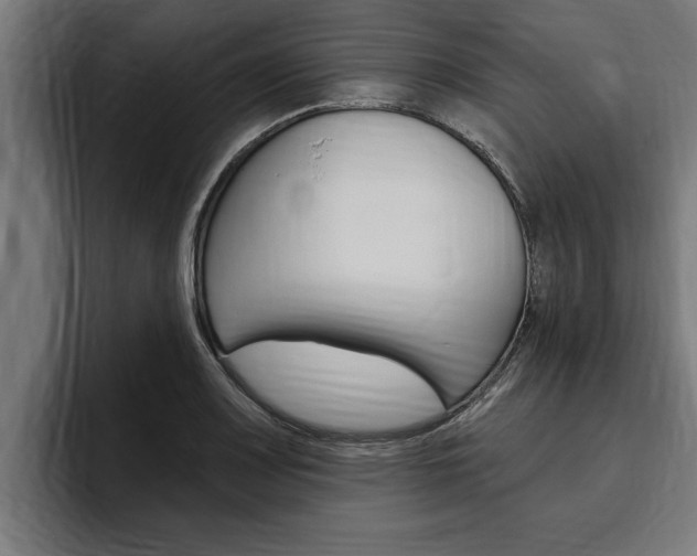 X0000094771083200711160825
