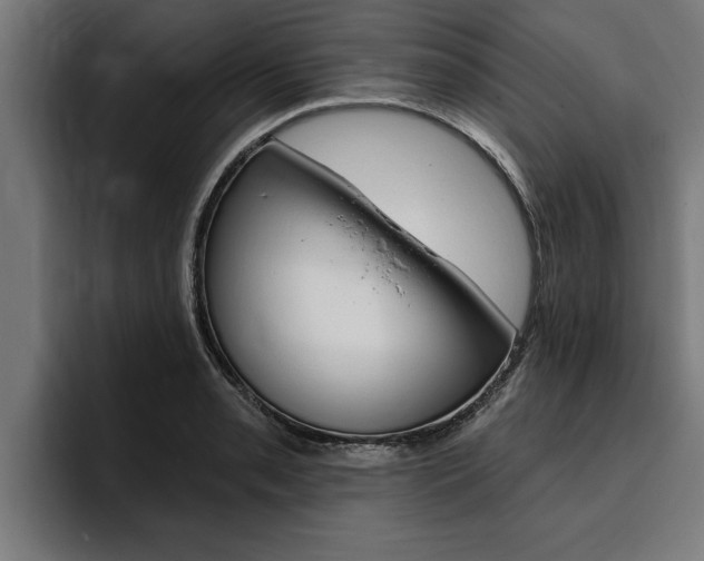 X0000094771085200711160825