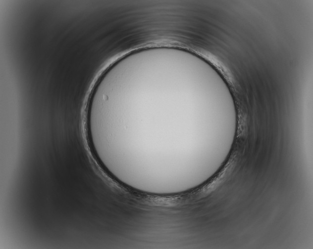 X0000094771086200711160825