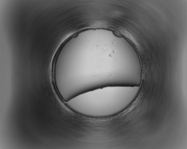 X0000094771087200711160825