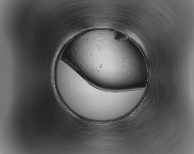 X0000094771088200711160825