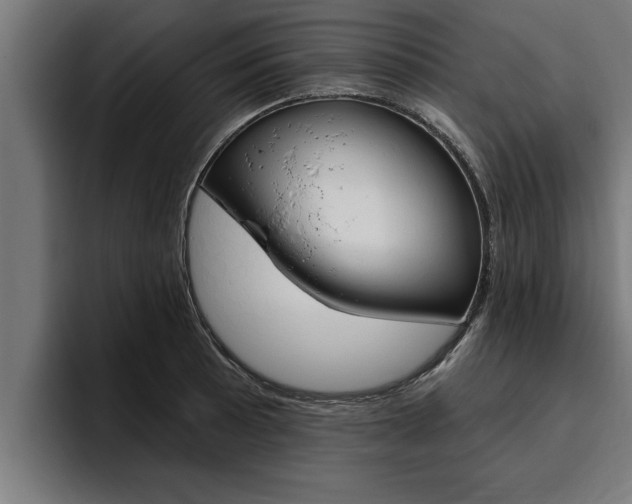 X0000094771089200711160825