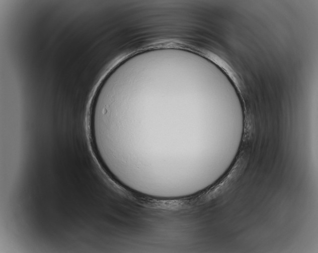 X0000094771090200711160825
