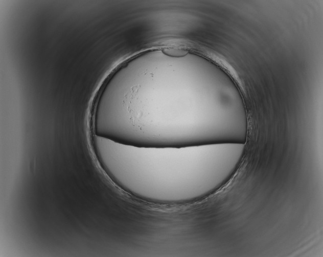 X0000094771091200711160825