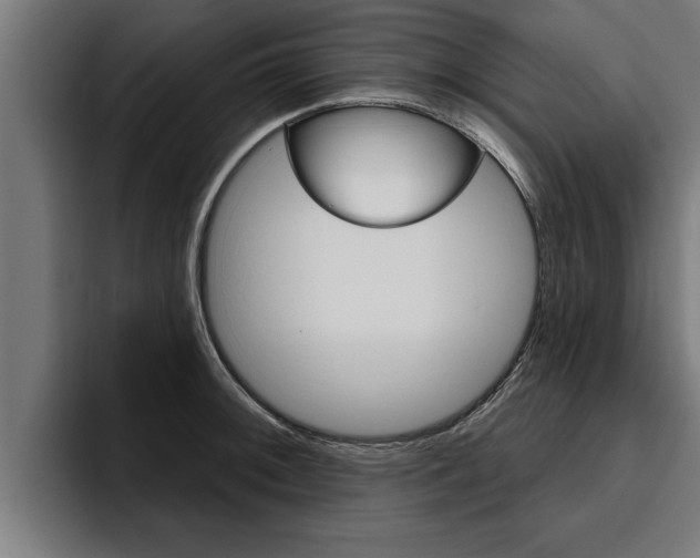 X0000094771092200711160825