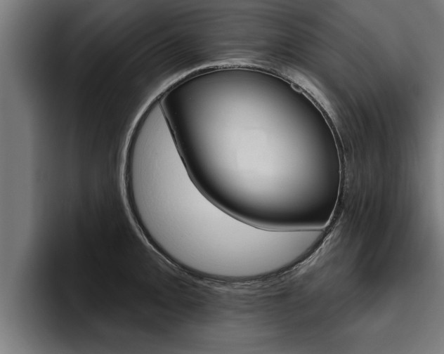 X0000094771093200711160825