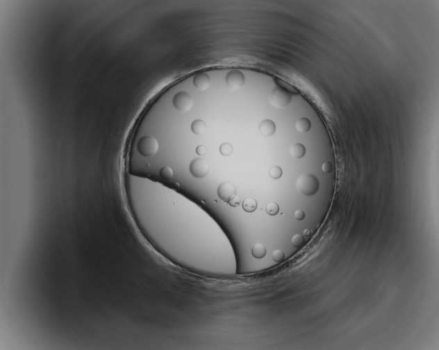 X0000094771095200711160825