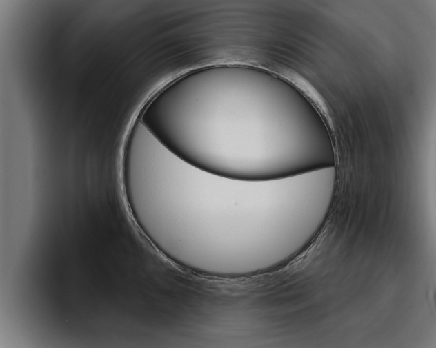 X0000094771096200711160825
