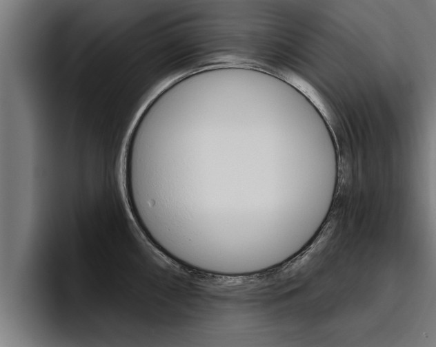 X0000094771098200711160825