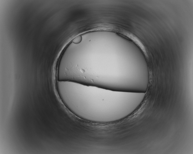 X0000094771099200711160825