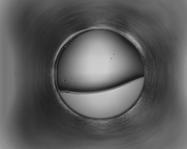 X0000094771100200711160825