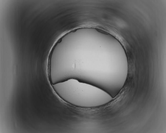 X0000094771103200711160825