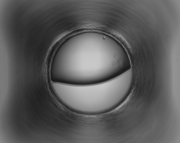 X0000094771114200711160824